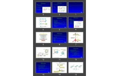 پاورپوینت Cell Signaling