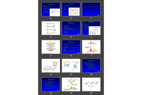 پاورپوینت Cell Signaling