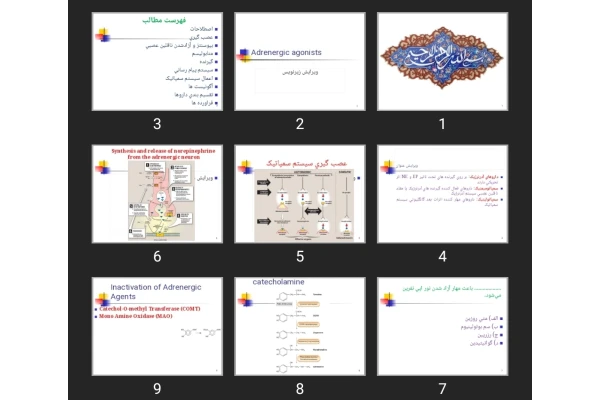 پاورپوینت داروهای موثر بر سیستم سمپاتیک