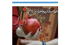 رمان خواستگارپرماجرای باغ انار ژانر عاشقانه