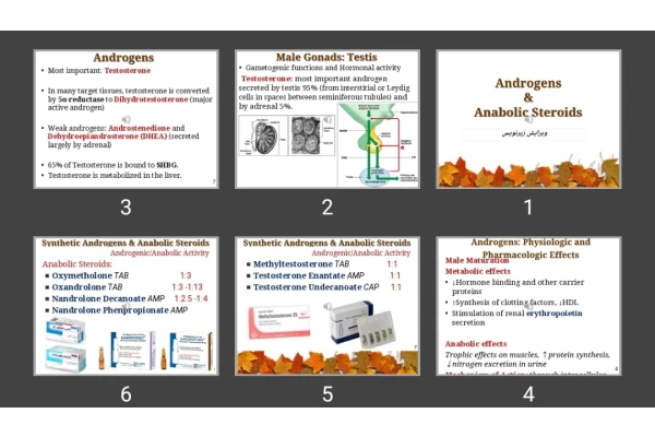 پاورپوینت Androgens & Anabolic Steroids