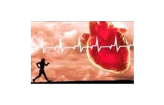تحقیق چگونه با ورزش بر بیماری های قلبی و عروقی غلبه کنیم 27 صفحه فرمتdocx