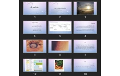 پاورپوینت ویتامین های محلول در چربی