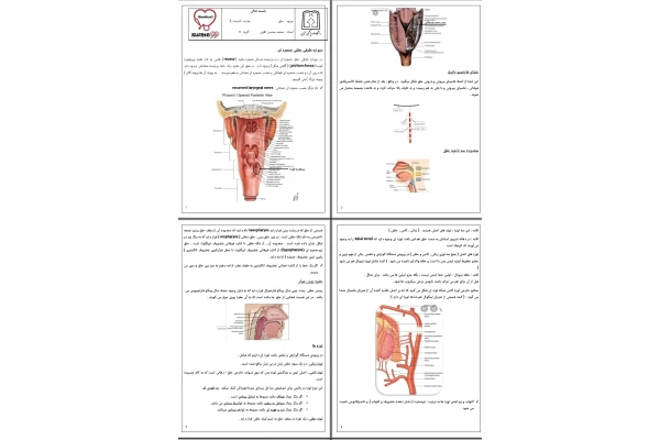 جزوه حلق ۲