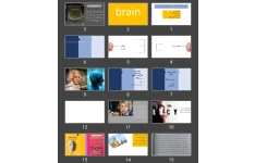 پاورپوینت Brain
