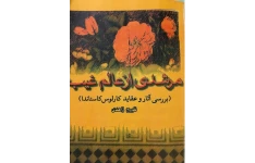 دانلود کتاب ارزشمند مُرشدی از عالم غیب pdf