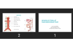 پاورپوینت Arteries & Veins of Gastrointestinal Tract