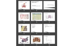 پاورپوینت مروری بر آناتومی کارکردی و فیزیولوژی دستگاه تنفسی Anatomy and physiology of respiratory system