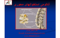 آناتومی استخوان(جزوه) 🔬 نسخه کامل ✅