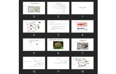 پاورپوینت Cestoda