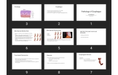 پاورپوینت Pathology of Esophagus