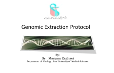 پروتکل استخراج Dna باکتری 🔬 نسخه کامل ✅