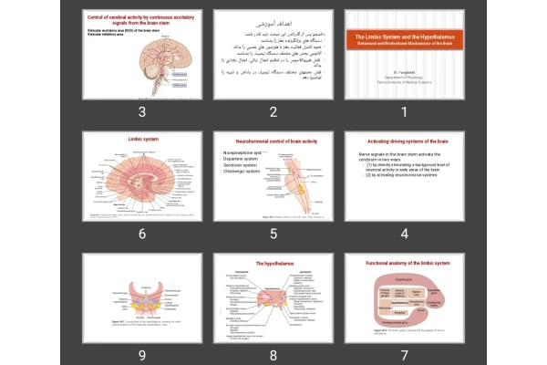 پاورپوینت The Limbic System and the Hypothalamus Behavioral and Motivational Mechanisms of the Brain