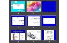 پاورپوینت شکل و ساختمان فیزیکی باکتری ها ضمائم اصلی ضمائم فرعی