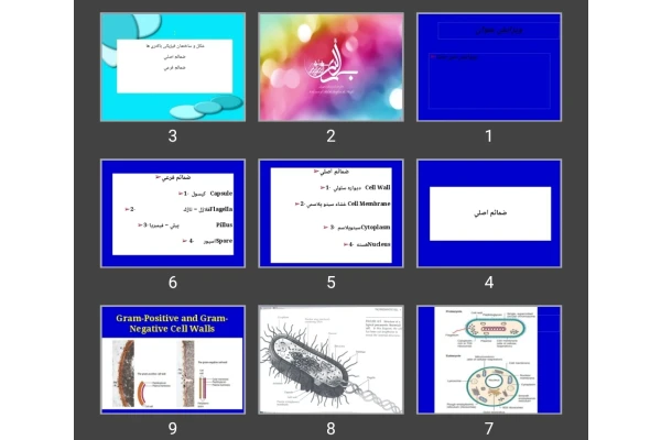 پاورپوینت شکل و ساختمان فیزیکی باکتری ها ضمائم اصلی ضمائم فرعی