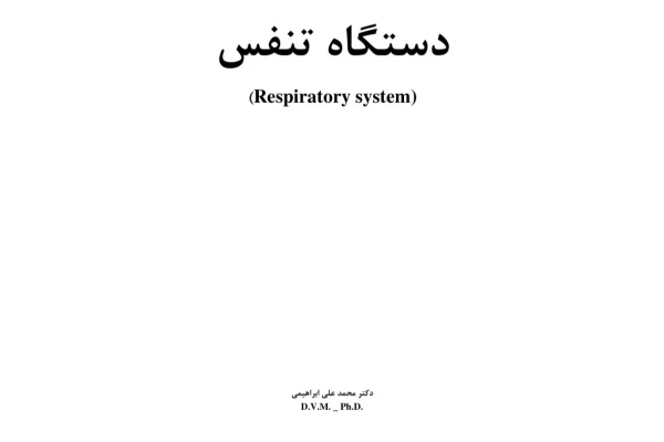 جزوه دستگاه تنفس - دکتر ابراهیمی - ۲۵ صفحه
