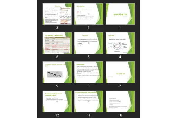 پاورپوینت اسپیروکت ها SPIROCHETES