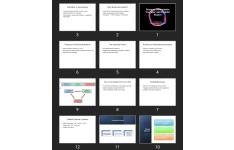 پاورپوینت Primary Hemostasis: Vascular and Platelet Phases