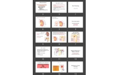 پاورپوینت Renal Physiology فیزیولوژی کلیه