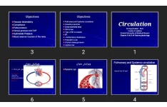 پاورپوینت Circulation