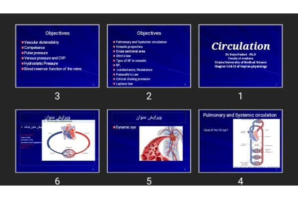 پاورپوینت Circulation