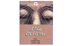 دانلود کتاب بیداری بودای درون pdf