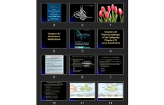 پاورپوینت Chapters 20 Pharmacotherapy of the Epilepsies Chapters 25 Local Anesthetics