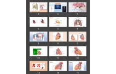 پاورپوینت Circulatory system