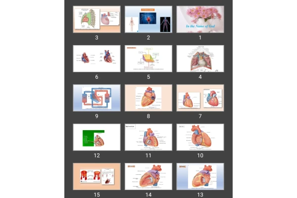 پاورپوینت Circulatory system