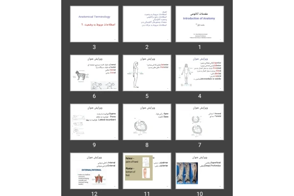 پاورپوینت مقدمات آناتومی جلسه اول