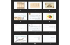 پاورپوینت آناتومی اعصاب پرستاری