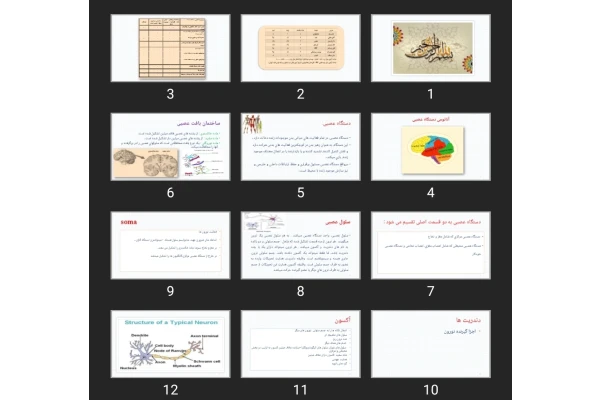 پاورپوینت آناتومی اعصاب پرستاری