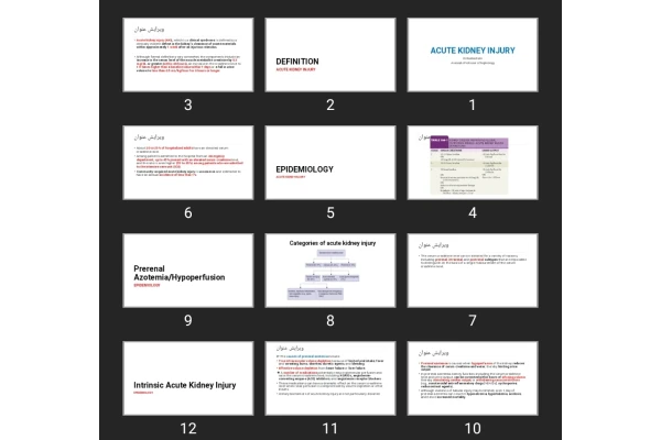 پاورپوینت ACUTE KIDNEY INJURY