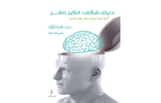 کتاب دنیای شگفت‌انگیز مغز 📗 نسخه کامل ✅