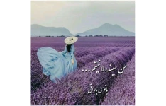 من سیندرلا نیستم _ به قلم خانم ایرانی