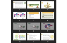 پاورپوینت Sedative, Hypnotics & Anxiolytic Drugs