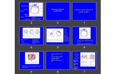 پاورپوینت Placenta and fetal membranes