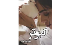 رمان عاشقانه کبوتر