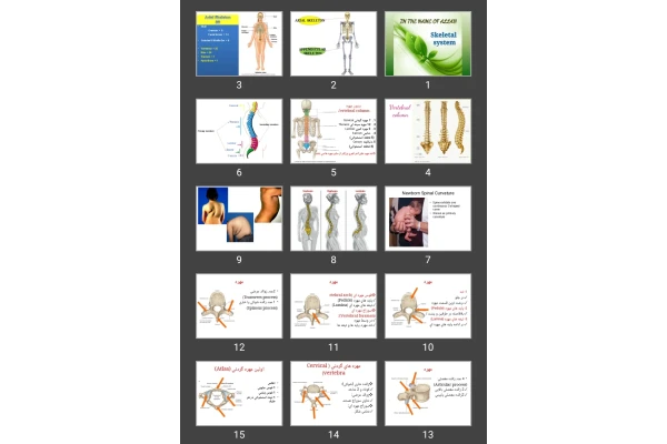 پاورپوینت Skeletal system