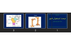 پاورپوینت مبحث استخوان فمور