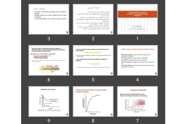 پاورپوینت Sensory Receptors, Neuronal Circuits for Processing Information Chapter 47