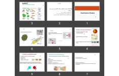 پاورپوینت طبقه بندی باکتری ها (Classification of Bacteria)