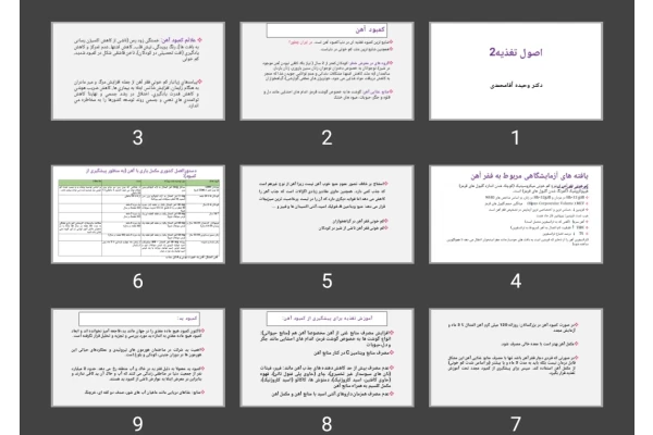 پاورپوینت اصول تغذیه ۲