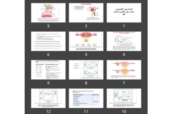 پاورپوینت فیلتراسیون گلومرولی، جریان خون کلیوی و کنترل آنها