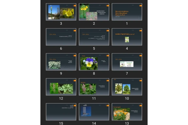 پاورپوینت Skin and micellnous
