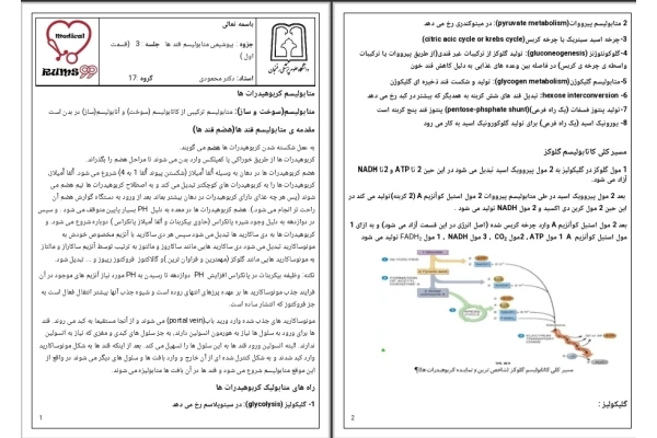 جزوه بیوشیمی متابولیسم قند ها