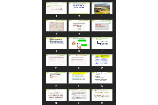 پاورپوینت Endocrinology & Metabolism