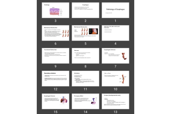 پاورپوینت Pathology of Esophagus