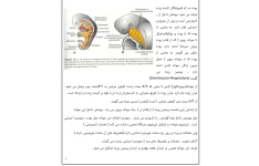 جزوه جنین تنفس