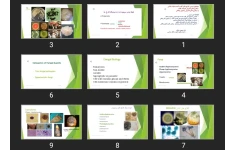 پاورپوینت قارچ های آلوده کننده مواد غذایی بیماری های قارچی فرصت طلب و بیماری های قارچی پاتوژن واقعی